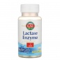  Innovative Quality KAL Lactase Enzyme 60 
