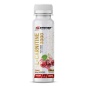 - Syntime Nutrition L-carnitine 100 