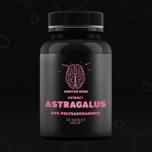 Специальный препарат Mentor Mind Astragalus 120 капсул