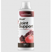 Хондропротектор FitRule Joint Support Concentrate 500 мл
